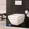 توالت-فرنگی-والهنگ-مروارید-مدل-سیلویا-3.webp