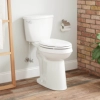 مزایا و معایب توالت فرنگی