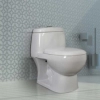 Golsar Toilet Model PARMIS