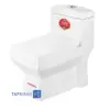 Golsar Toilet Model ASTER