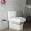 Golsar Toilet Model ASTER