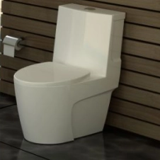 Golsar Toilet Model PELATUS