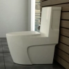 Golsar Toilet Model PELATUS