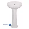 Golsar Basin Model NILOOFAR 50 With Base