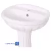 Golsar Basin Model NILOOFAR 50 With Base
