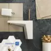 Shouder Basin Faucet Model TIFFANY MILKY Golden